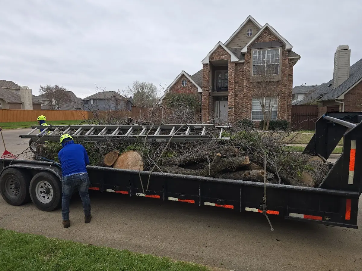 Expert Tree Fertilization with proper safety equipment in Lenore